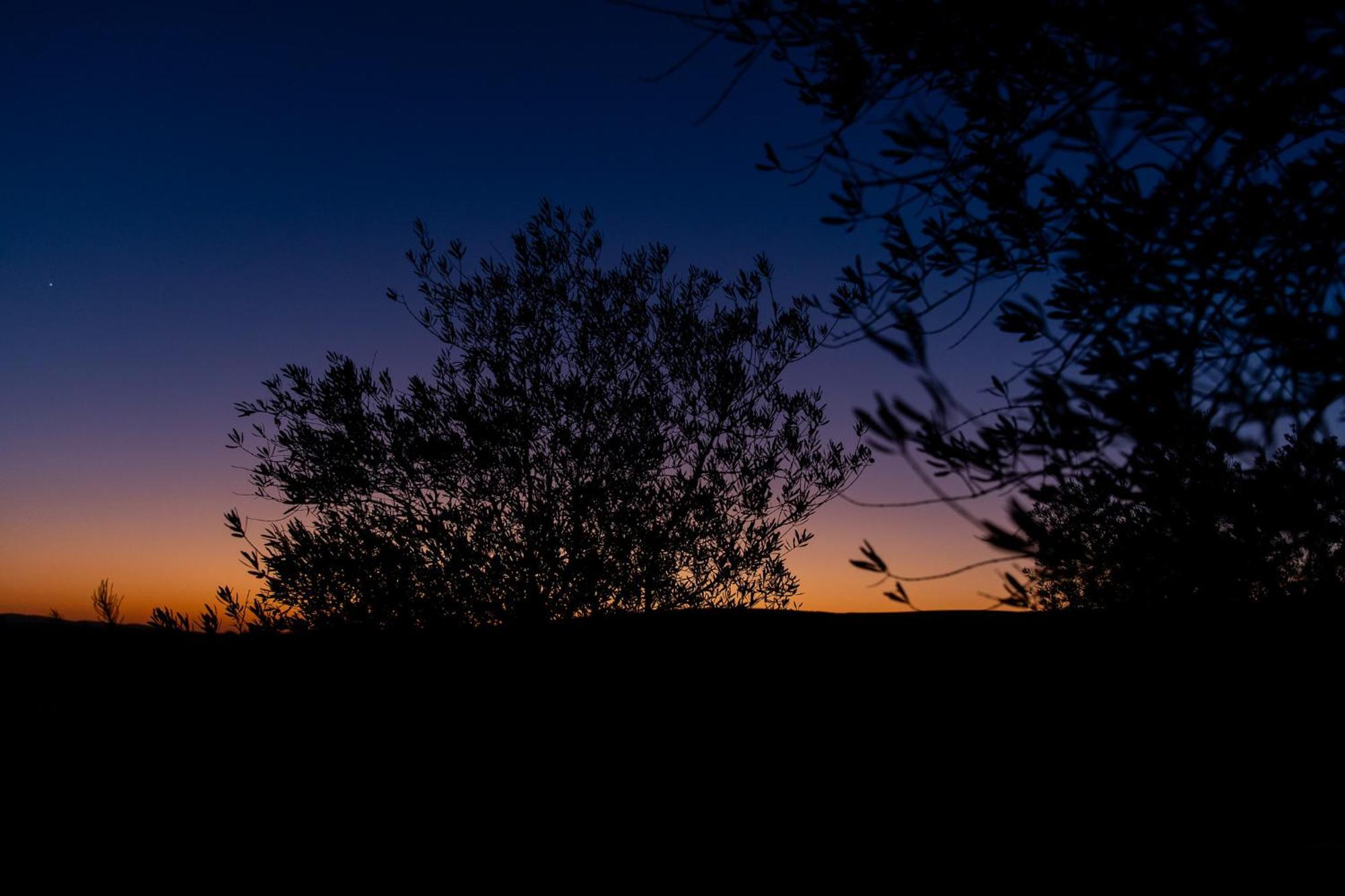 Skyline Eco-Camp Mitzpe Ramon Exterior foto